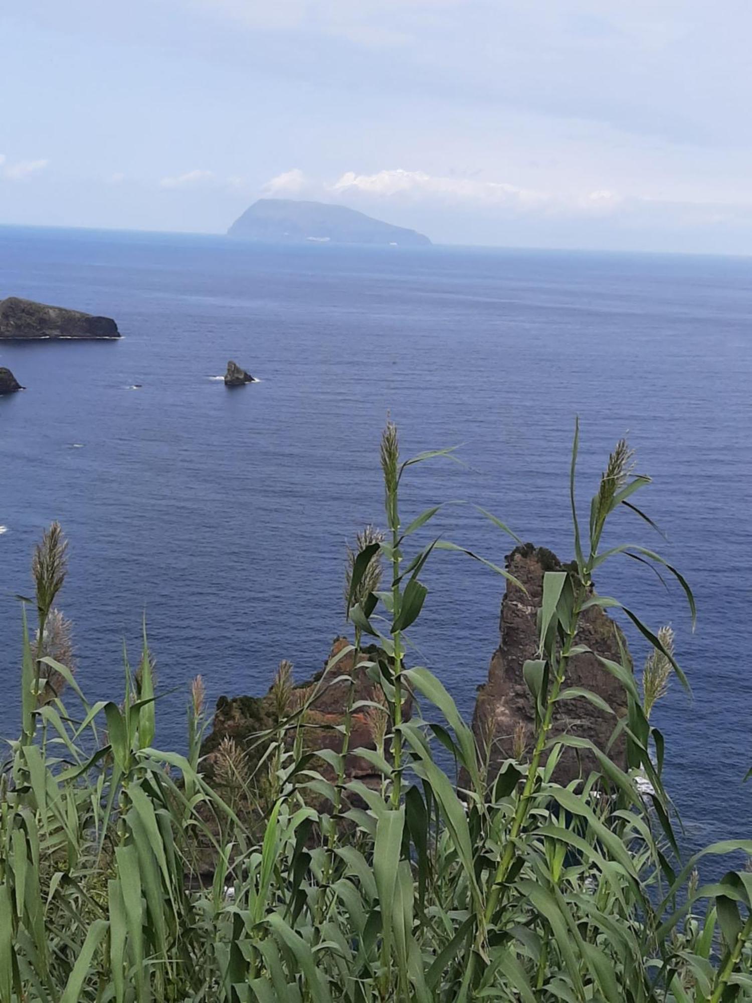 Casa Vicente Leilighet Santa Cruz das Flores Eksteriør bilde